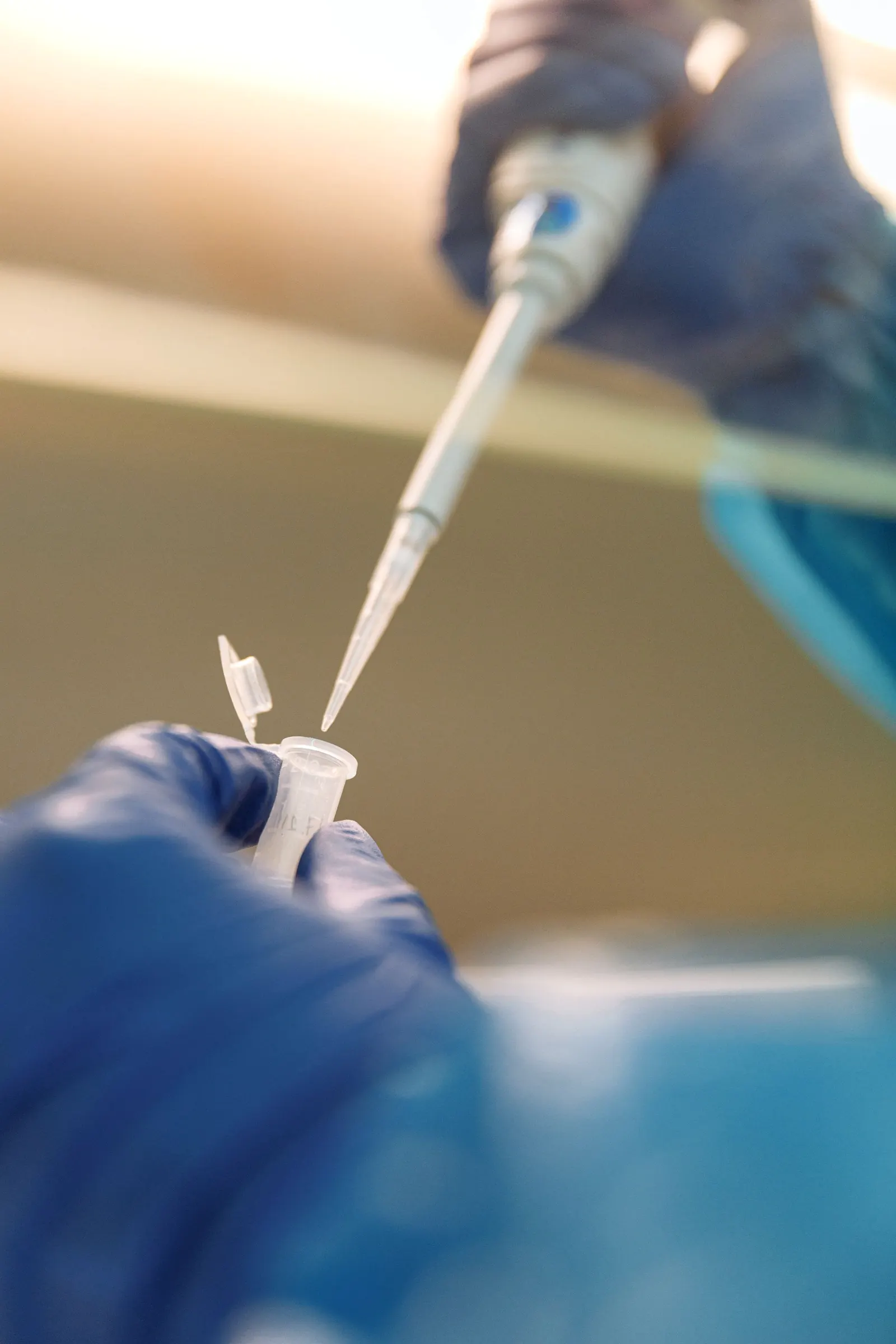 Scientist pipetting a sample